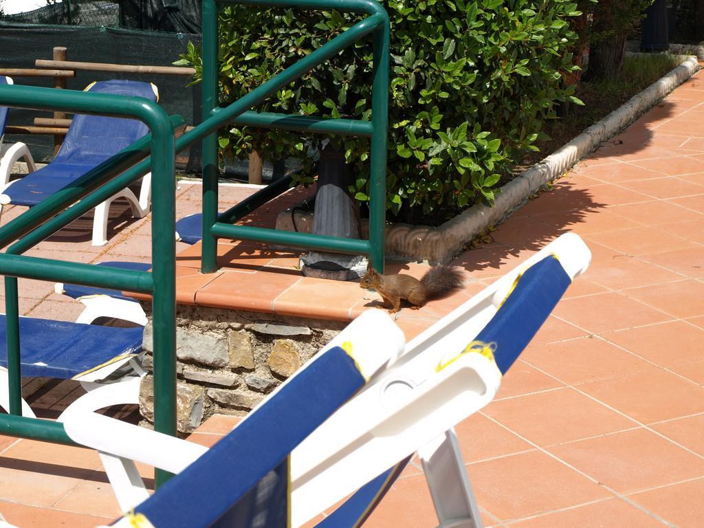Camping Village Panoramico Fiesole Luaran gambar