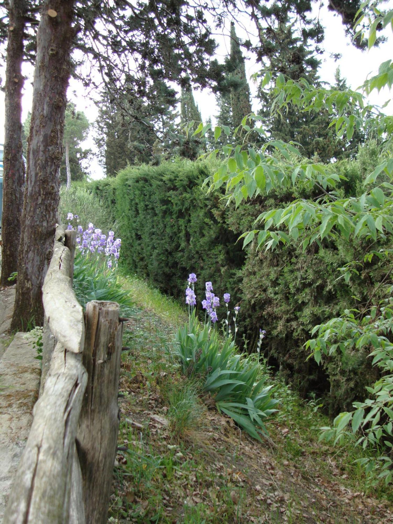 Camping Village Panoramico Fiesole Luaran gambar